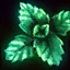 Feuille de menthe
