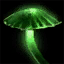 Spore de champignon invisible de chronomancien