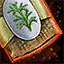 Graine d'estragon potager