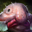 Poisson-glouton
