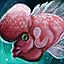 Poisson-fleur