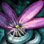 Passiflore brillante