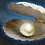 Carapace de perles