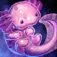 Axolotl albinos