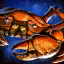 Crabe des neiges